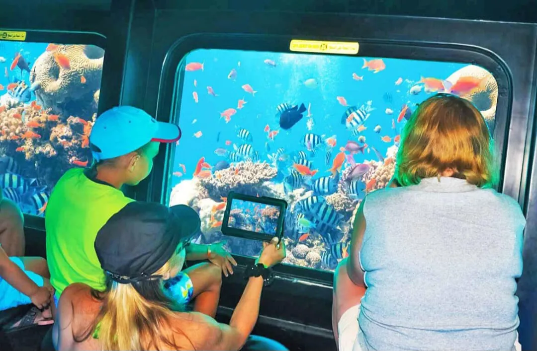 🚤🌊 Sea Scope Semi-Submarine Trip – Marsa Alam 🐠🪸 Sea Scope semi Submarine /IMG-20260702-WA0248.jpg